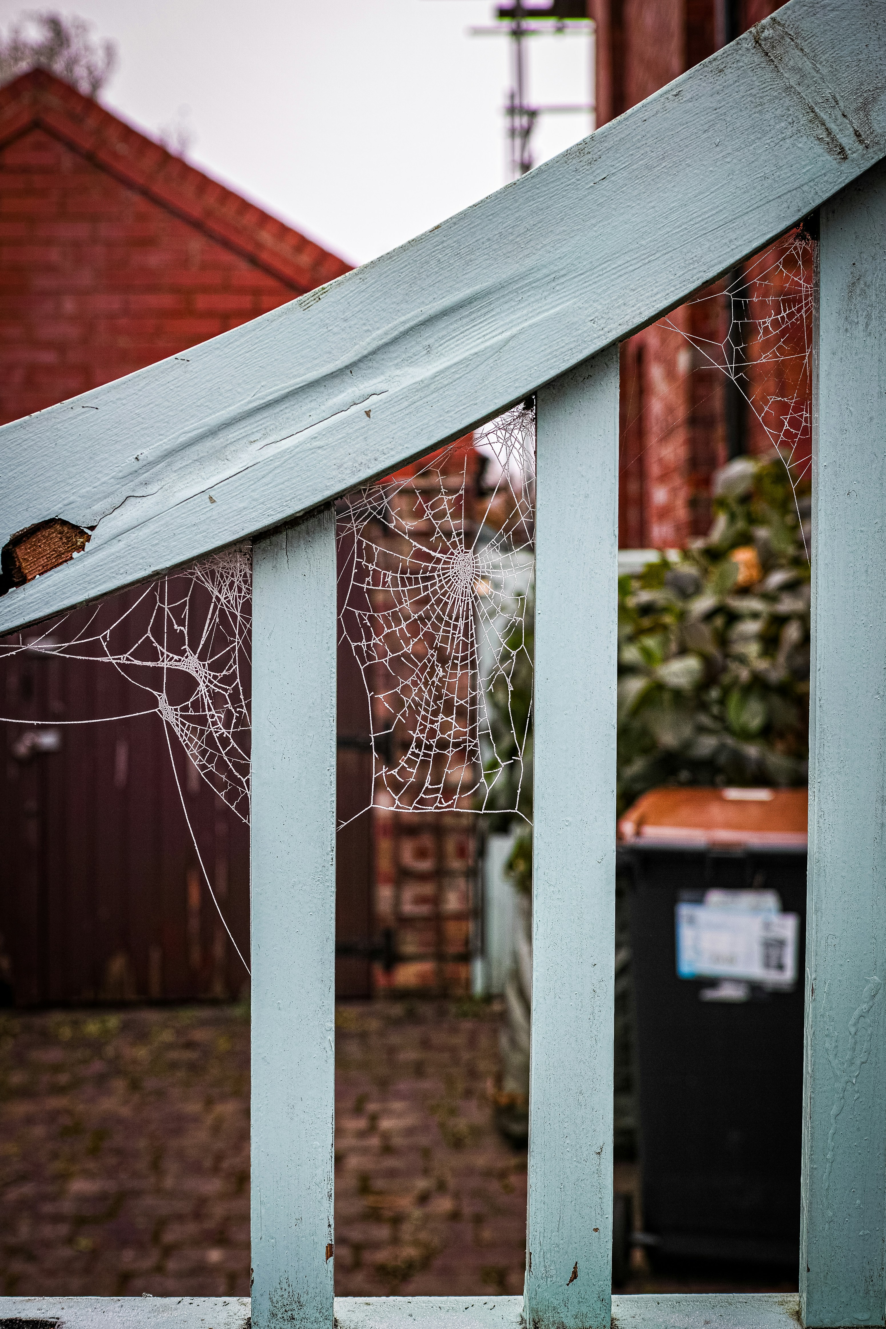 a spider web on the side of a wooden fence