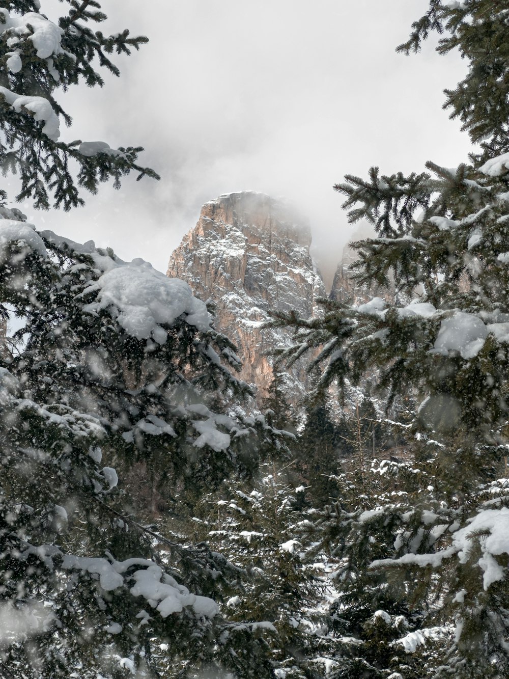 a mountain covered in snow surrounded by trees