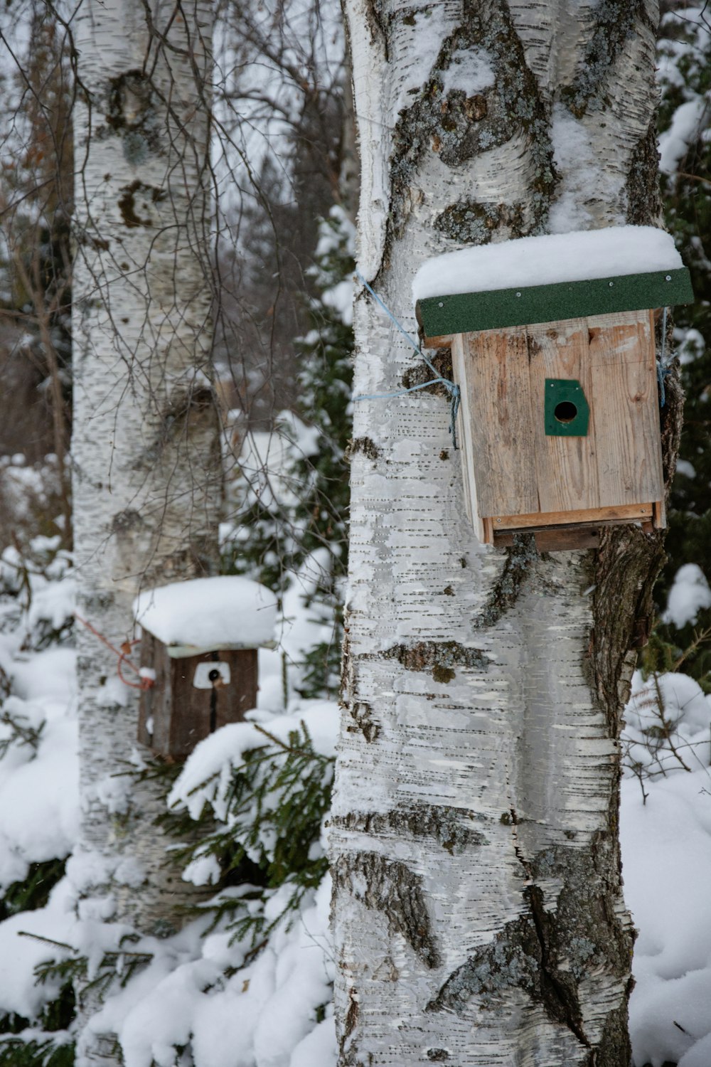 a bird house hanging from a tree in the snow