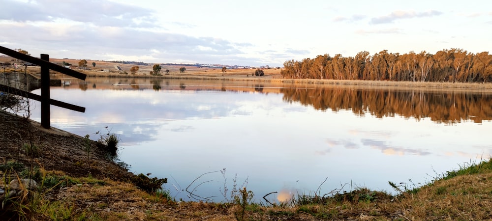 a large body of water surrounded by a forest