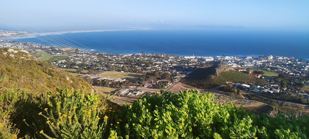 Una vista de una ciudad y el océano desde una colina