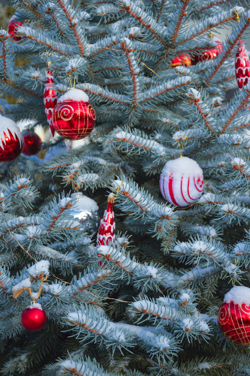 a close up of a christmas tree with ornaments