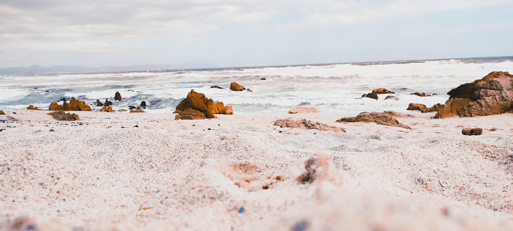 a sandy beach covered in lots of rocks