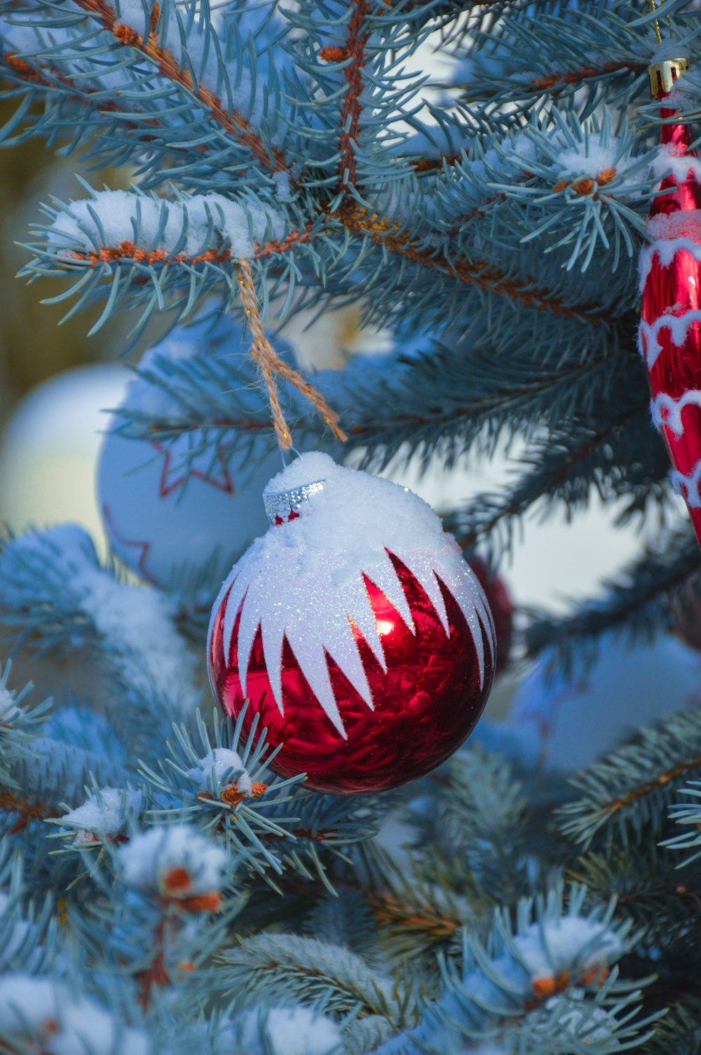 a red and white ornament hanging from a christmas tree