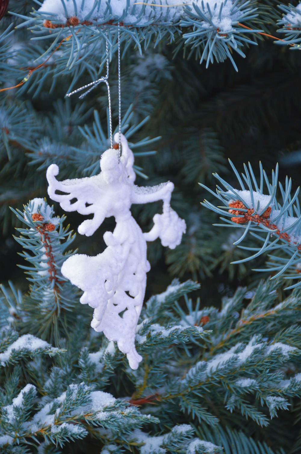 a christmas ornament hanging from a pine tree