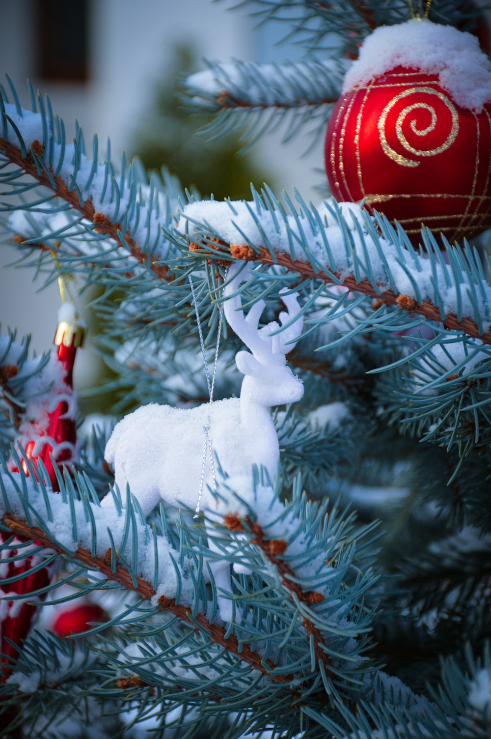 a close up of a christmas tree with ornaments