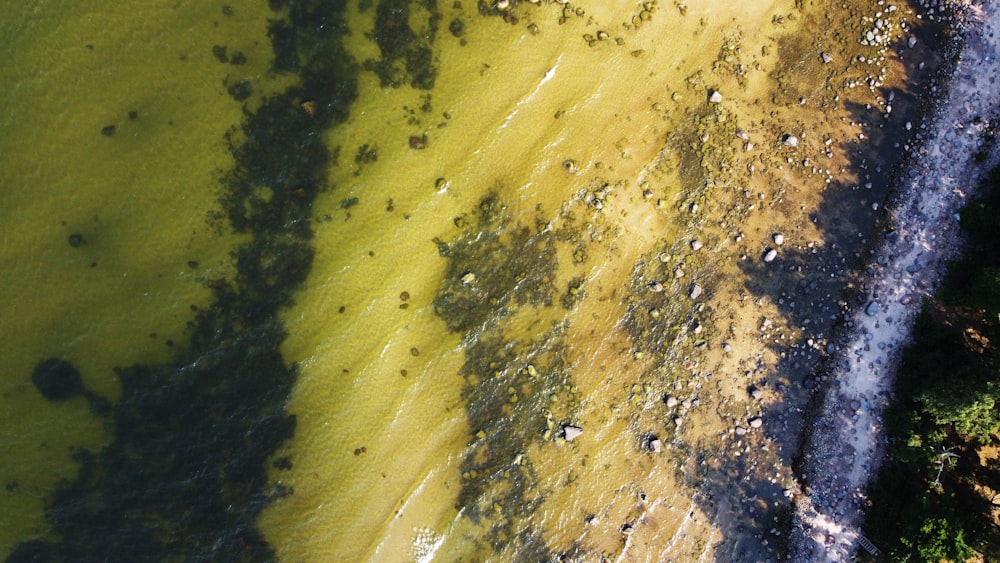 a bird's eye view of a beach and water