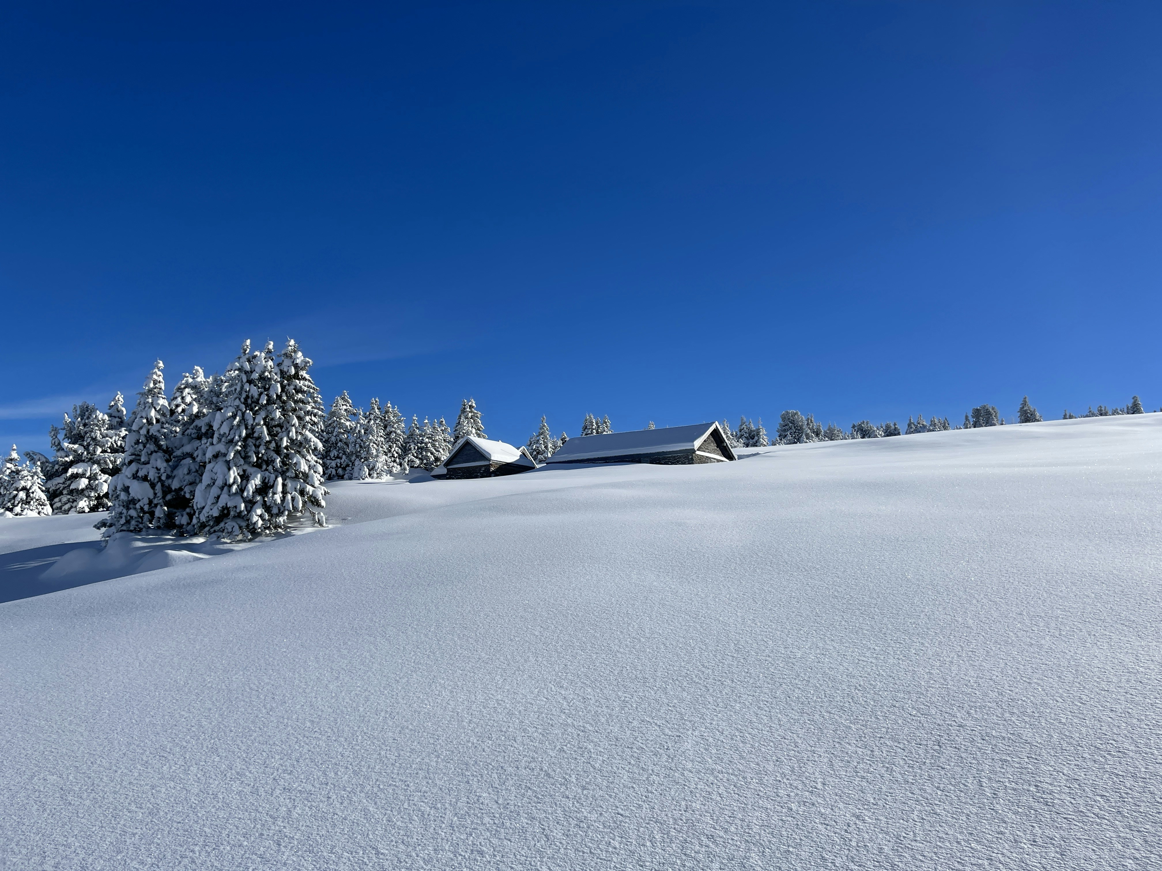 Photo by at_sebirutz