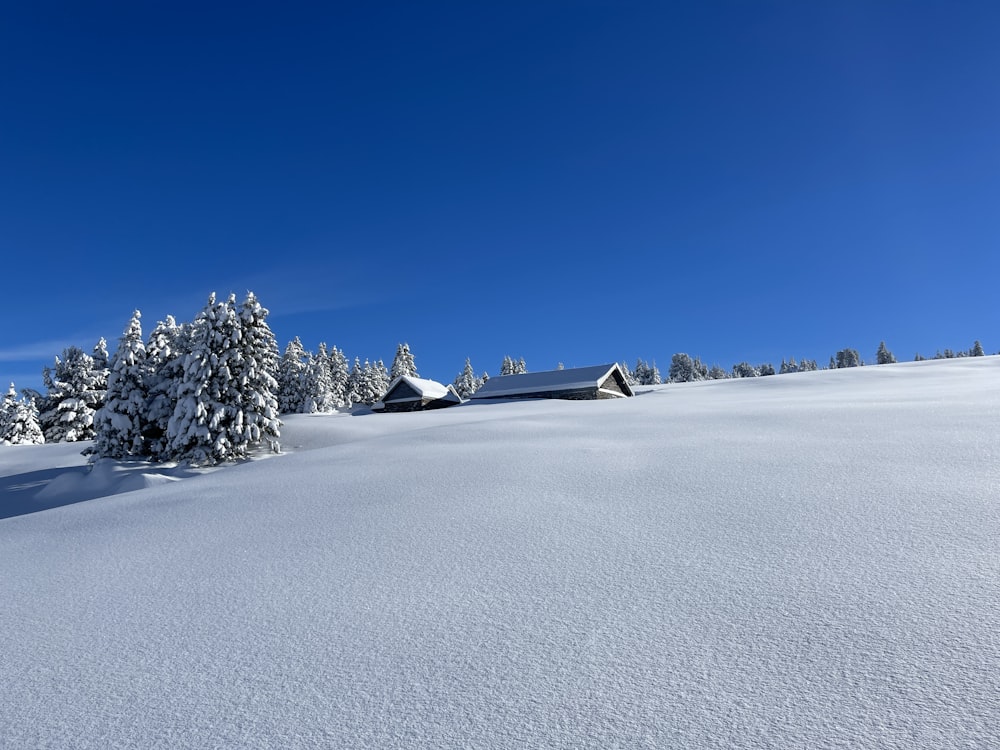 a snow covered field with a house and trees