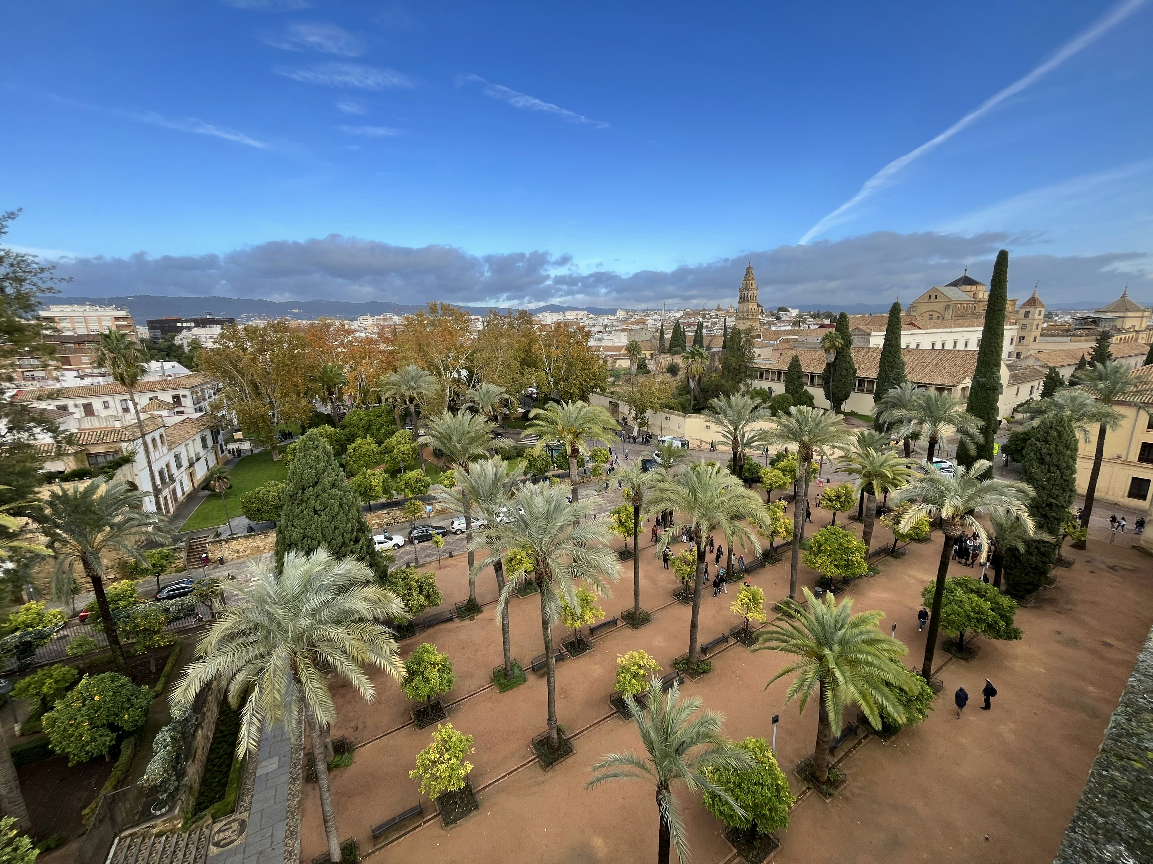 a park with palm trees and buildings in the background
