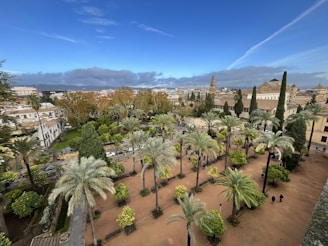 A scenic view of Valencia's historic architecture with palm trees in the foreground.