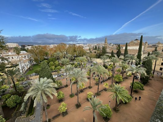 A park with palm trees and buildings in the background — Córdoba, Spain