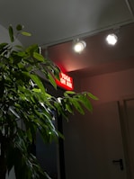 A dimly lit room with a green leafy plant in the foreground. Above the plant, there is a red illuminated sign with white text that reads 'YOGA ON AIR'. Two ceiling lights are visible, one of which is turned on and emitting soft light, enhancing the calm atmosphere.