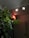 A dimly lit room with a green leafy plant in the foreground. Above the plant, there is a red illuminated sign with white text that reads 'YOGA ON AIR'. Two ceiling lights are visible, one of which is turned on and emitting soft light, enhancing the calm atmosphere.