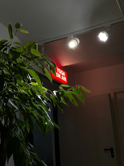 A serene yoga studio with natural light and calming decor.