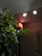 A serene yoga studio with soft lighting and incense sticks burning on a wooden shelf.