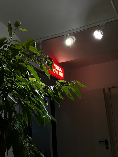 A dimly lit room with a green leafy plant in the foreground. Above the plant, there is a red illuminated sign with white text that reads 'YOGA ON AIR'. Two ceiling lights are visible, one of which is turned on and emitting soft light, enhancing the calm atmosphere.