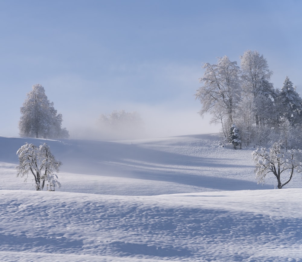 a snow covered landscape with trees and snow