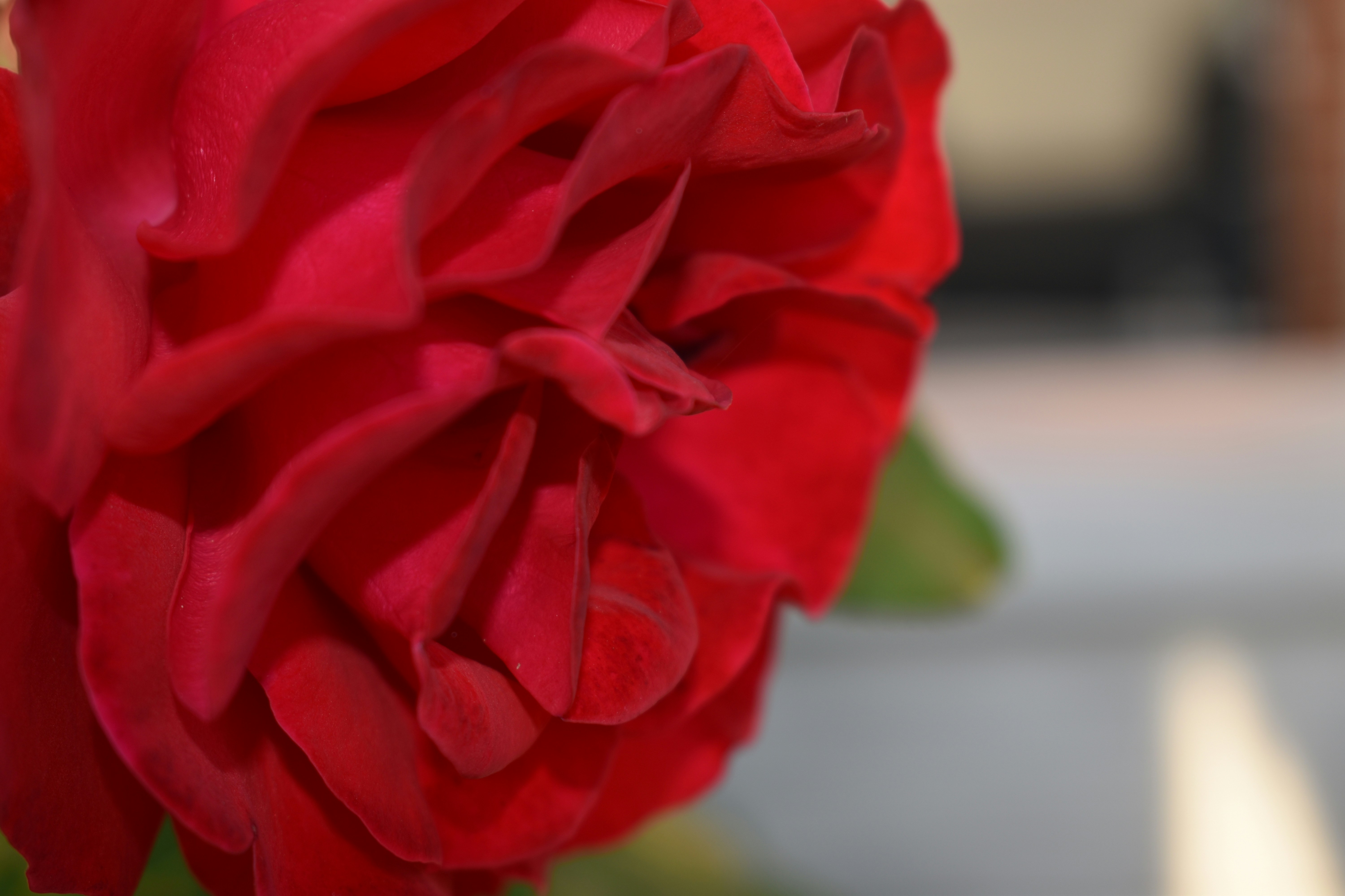 Photo by carolinebaasch