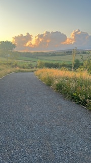 A winding path through vibrant fields near a spiritual landmark.