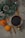 A warm and cozy setting with a cup of dark beverage placed on a sheet of old newspaper. On the side, there are sprigs of evergreen with pinecones and small red and white berries, evoking a winter or holiday theme. Fresh mandarins and cinnamon sticks are also laid out, adding a rustic and aromatic touch.