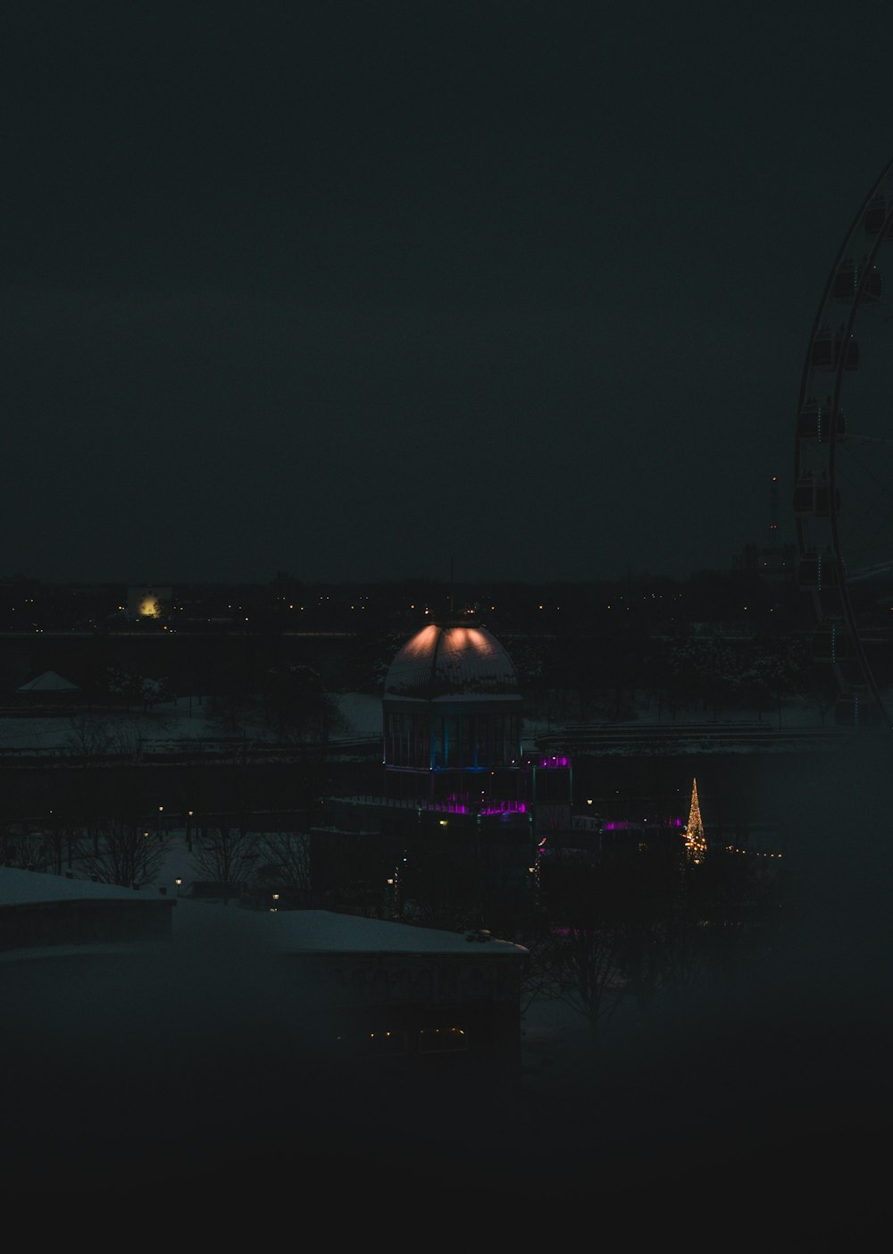 a large ferris wheel sitting next to a body of water