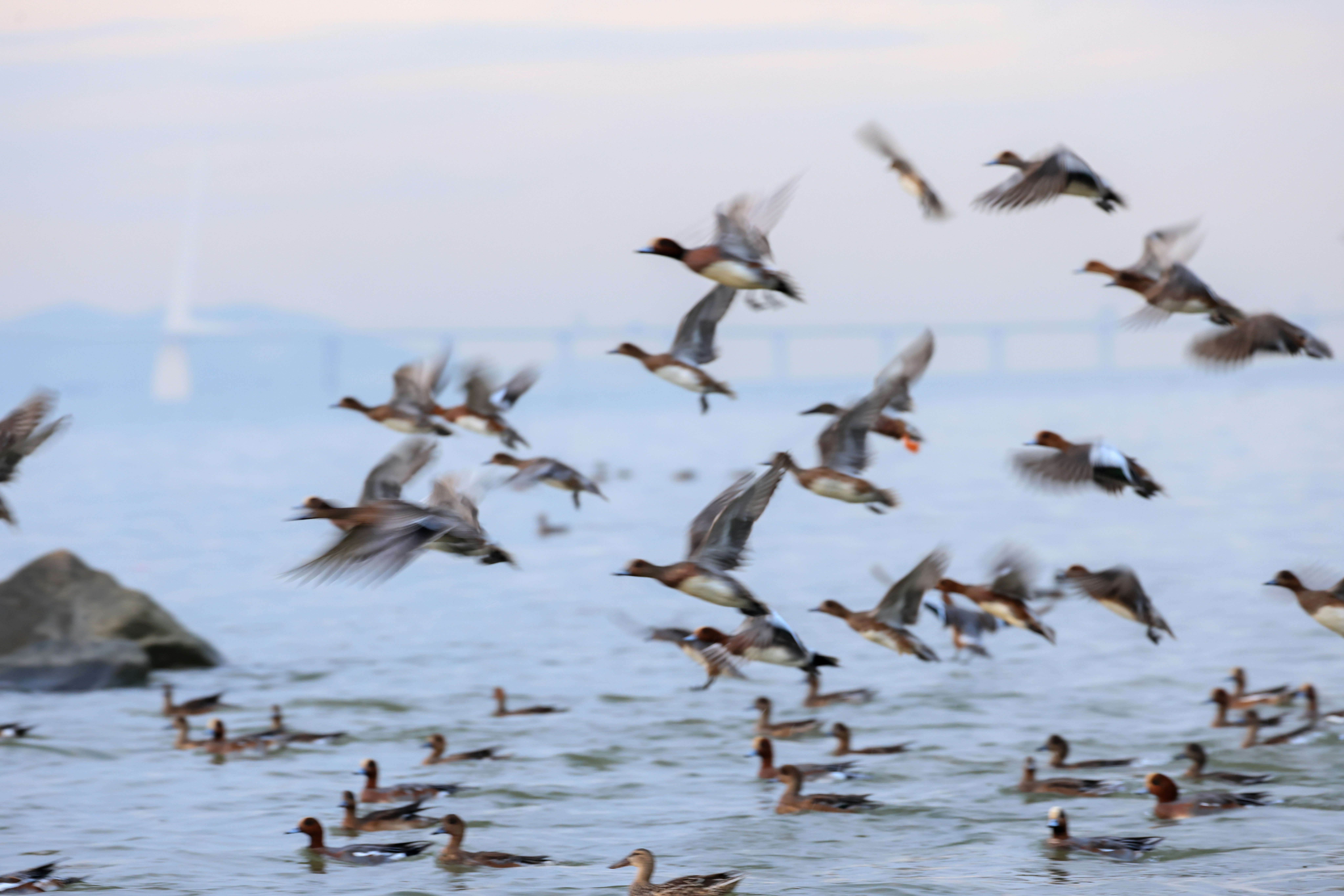 Photo by dickenslin76