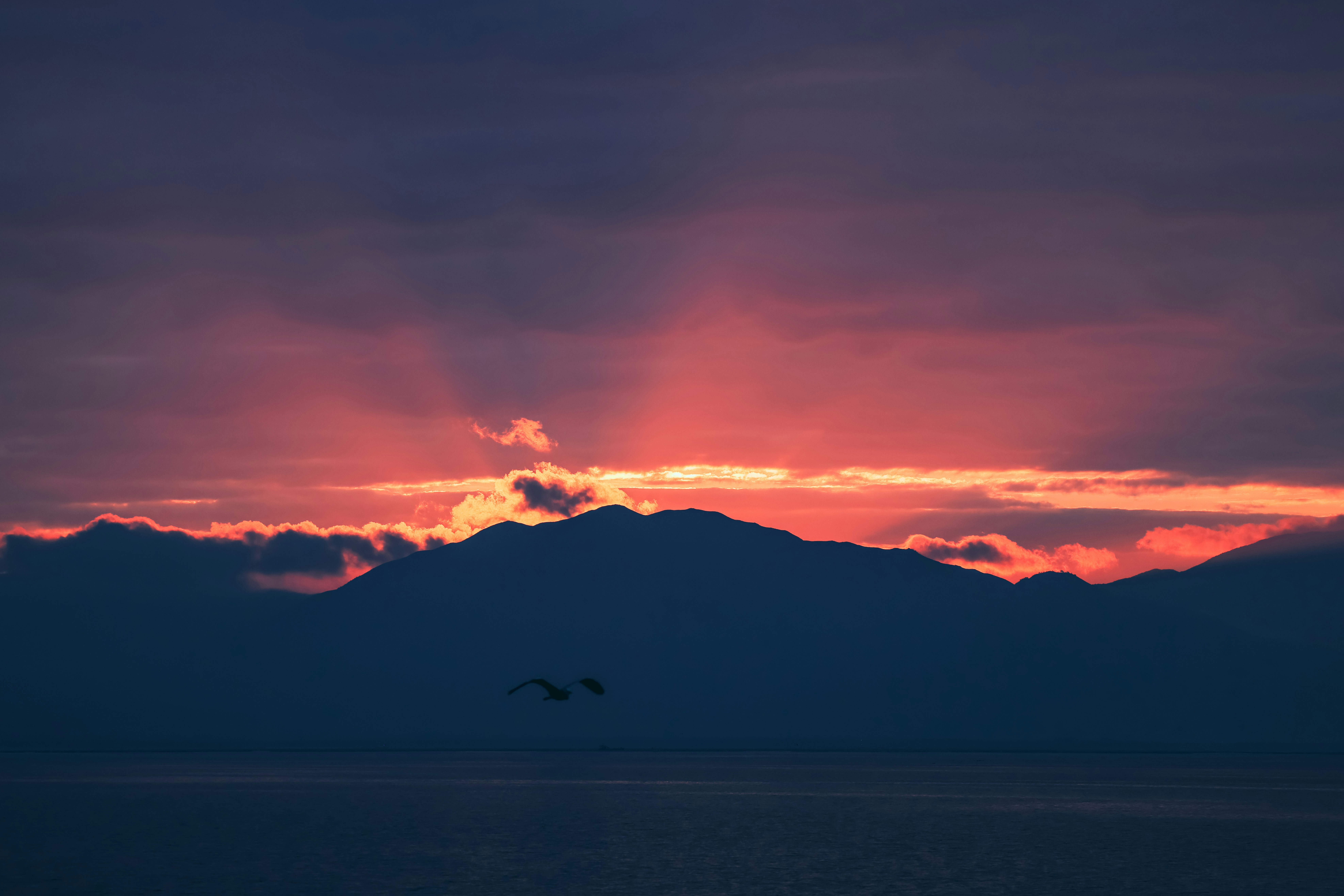 Photo by dickenslin76