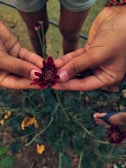 An artistic close-up of hands gently holding a flower, with shallow depth of field