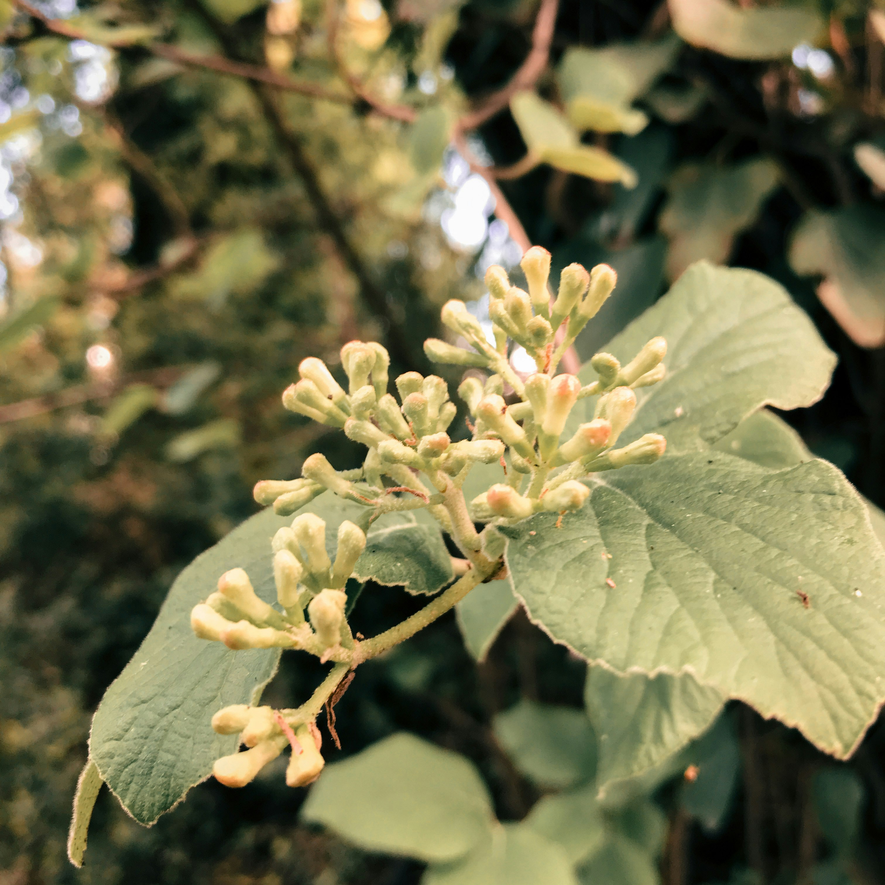 Photo by brokehomie216