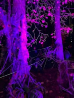 Close-up of jagged silver and white accents on a dark costume, capturing the ghostly aesthetic of the haunted forest theme.