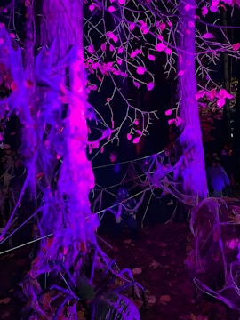 A dimly lit forest scene with trees wrapped in faux spider webs illuminated by purple lighting. The ground is covered in autumn leaves, and a person dressed in a costume appears to be crouching among the trees, adding to the eerie atmosphere.