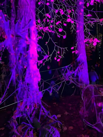 A dimly lit, eerie stage set with twisted trees and fog curling around broken gravestones.