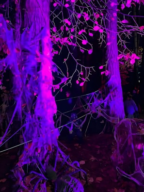 A dimly lit forest scene with trees wrapped in faux spider webs illuminated by purple lighting. The ground is covered in autumn leaves, and a person dressed in a costume appears to be crouching among the trees, adding to the eerie atmosphere.