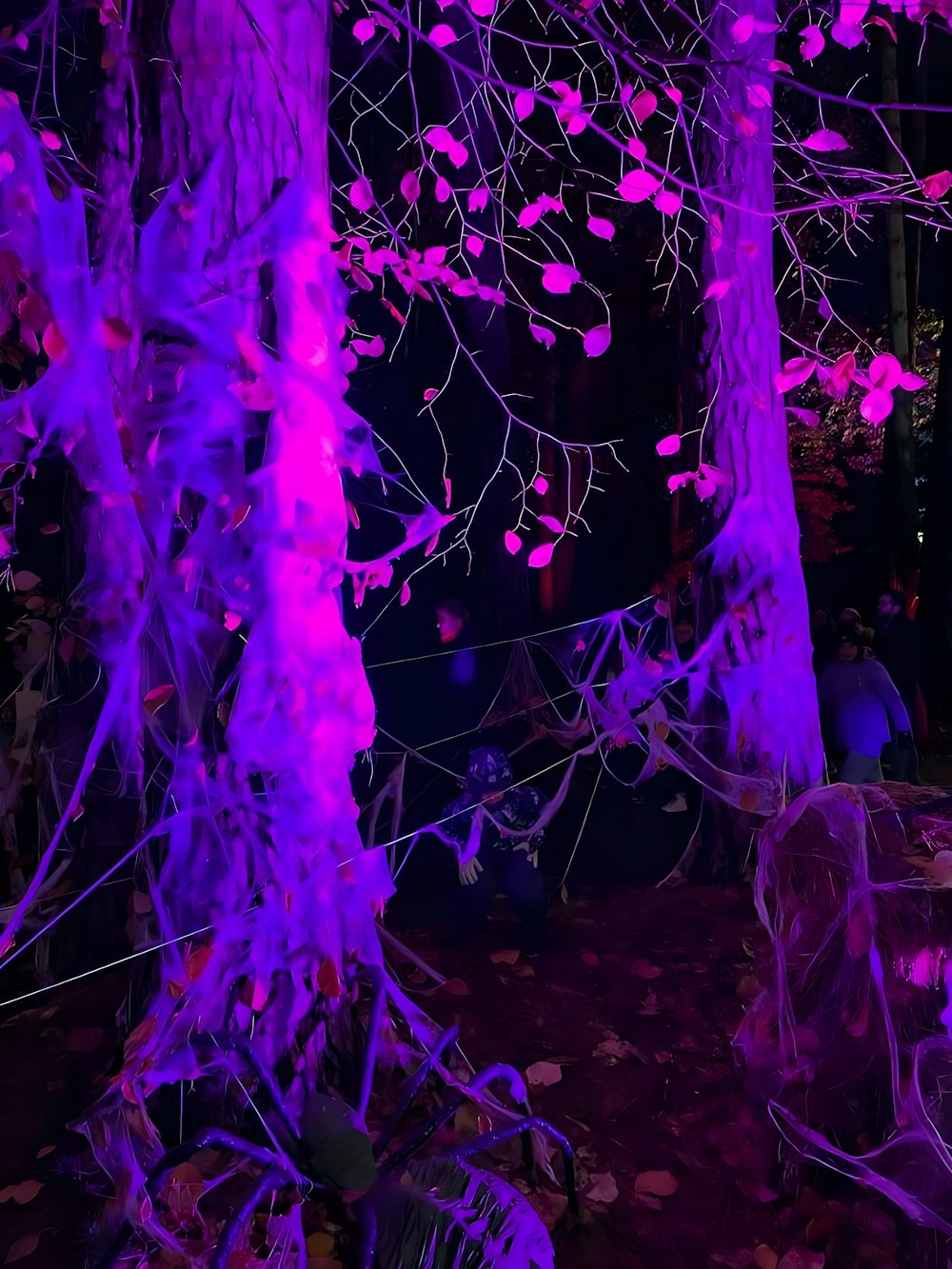 a group of trees that have purple lights on them