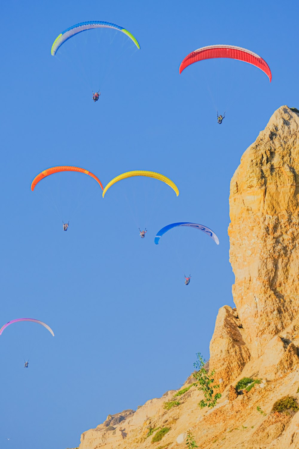 a group of people flying kites on top of a mountain