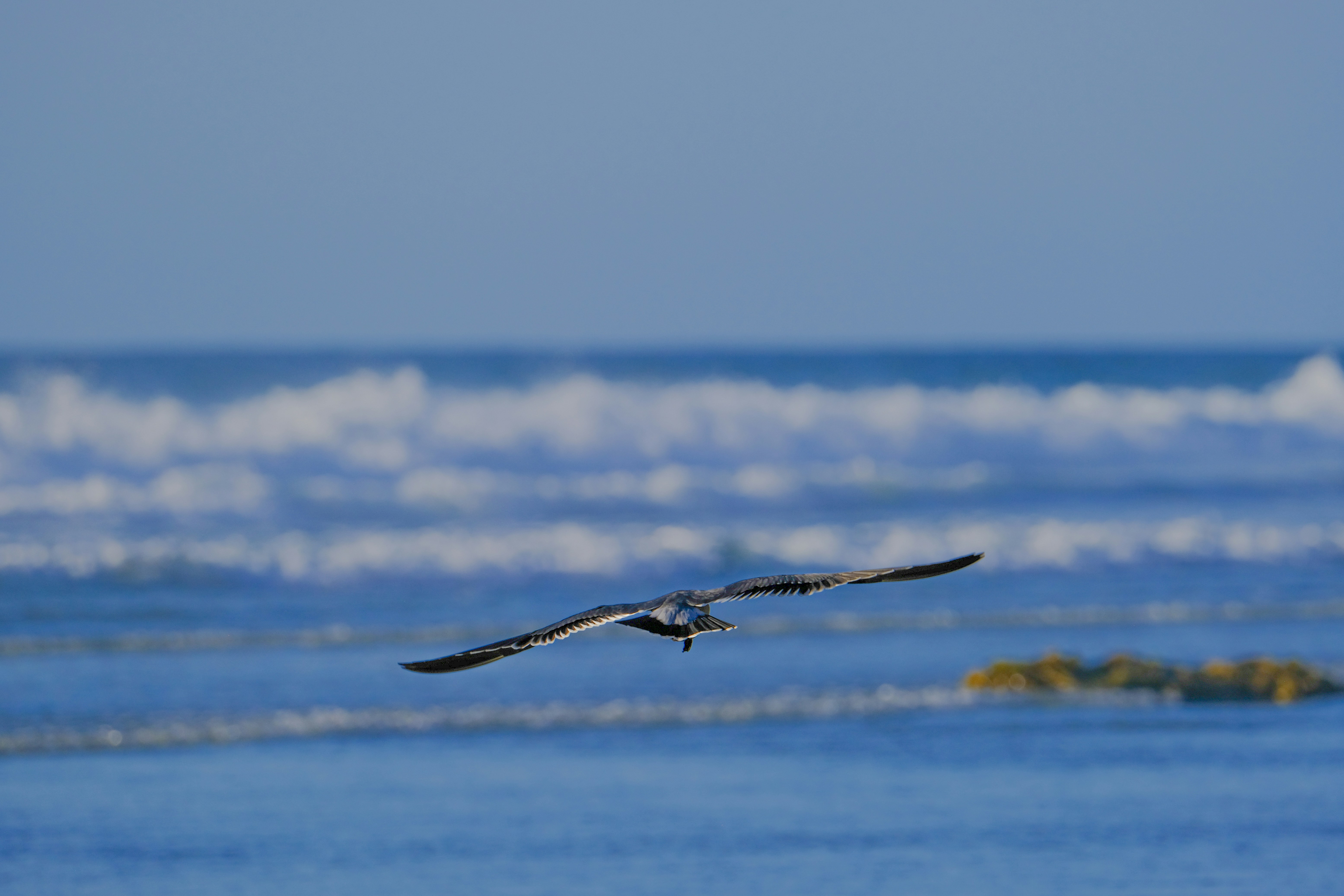 Photo by cestmoisheedy