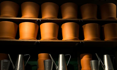 Bright polyethylene pots arranged neatly on wooden shelves in a sunlit nursery corner.
