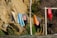 A rustic outdoor scene featuring wetsuits, towels, and clothing hanging on a clothesline strung between two wooden posts on a sandy surface. The background consists of a rocky, earth-toned cliff with some greenery and dry shrubs.