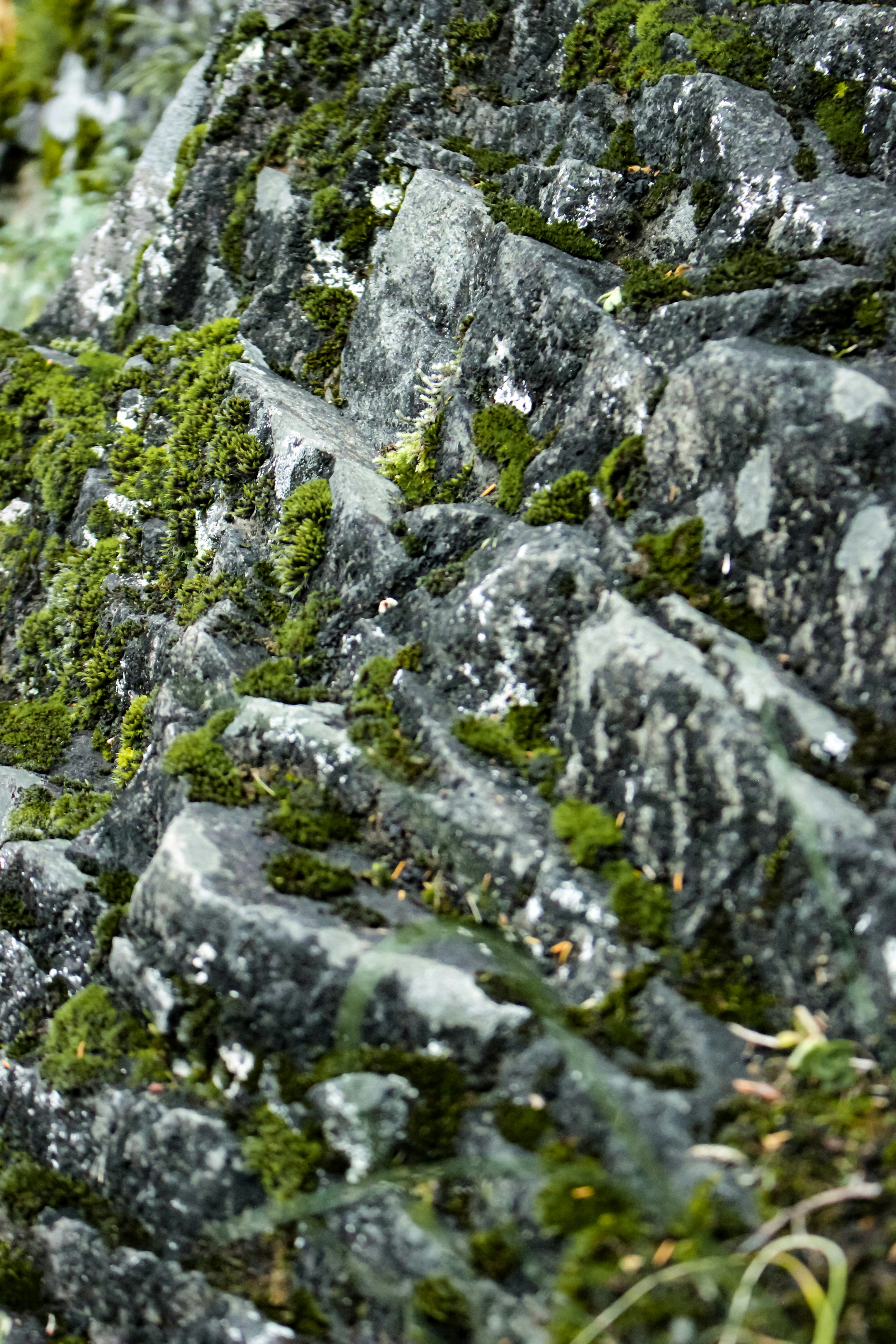 photo-1702222598300-e770874a167d?ixid=M3wxMjA3fDB8MXxzZWFyY2h8MTh8fG5hdHVyYWwlMjBsZWRnZSUyMHN0b25lJTIwZm9yJTIwbGFuZHNjYXBpbmd8ZW58MHx8fHwxNzUyMzg0MDY1fDA\u0026ixlib=rb-4.1.0