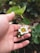 a person is holding a small white flower