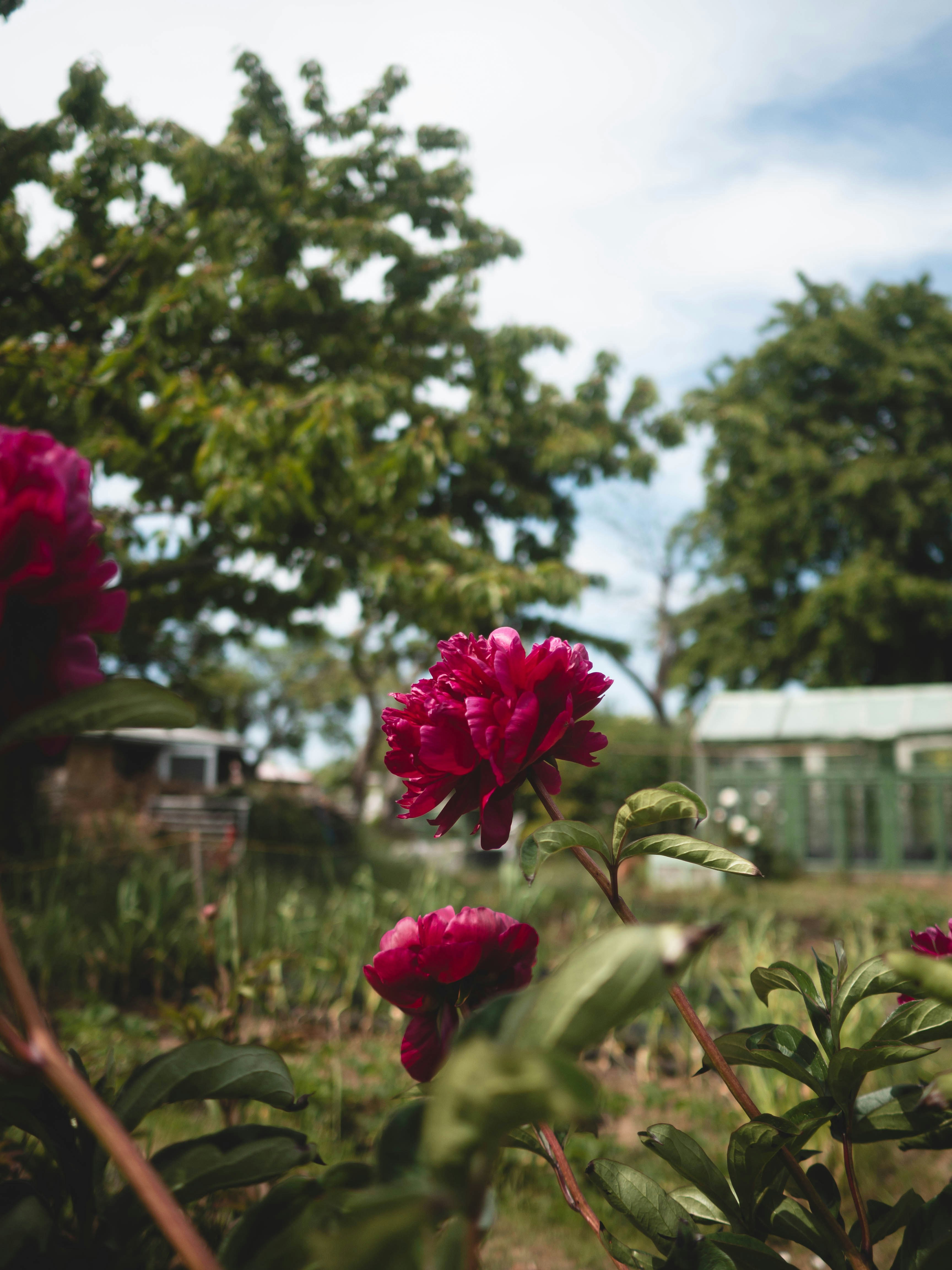 Photo by eileen_kummer