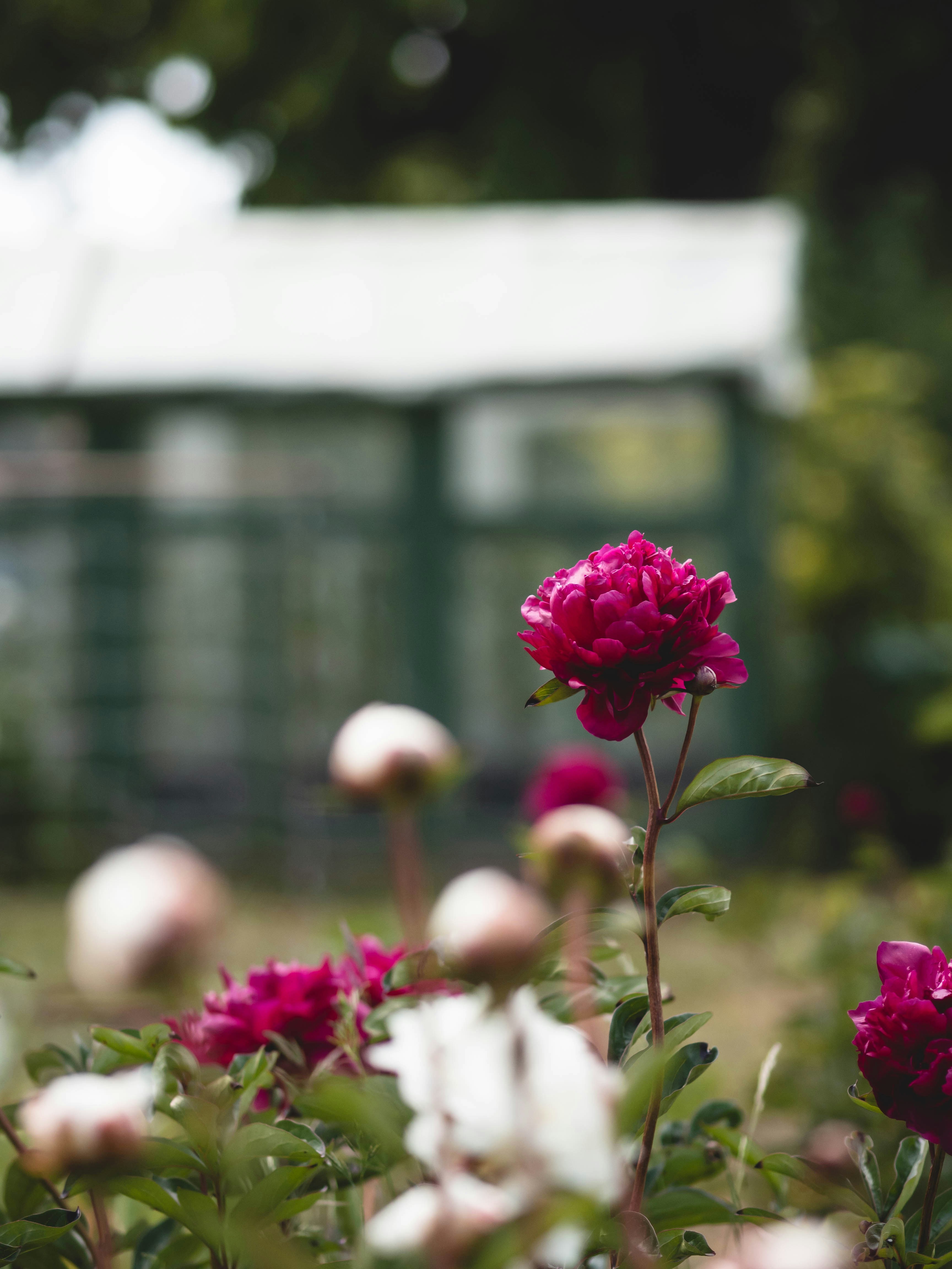 Photo by eileen_kummer