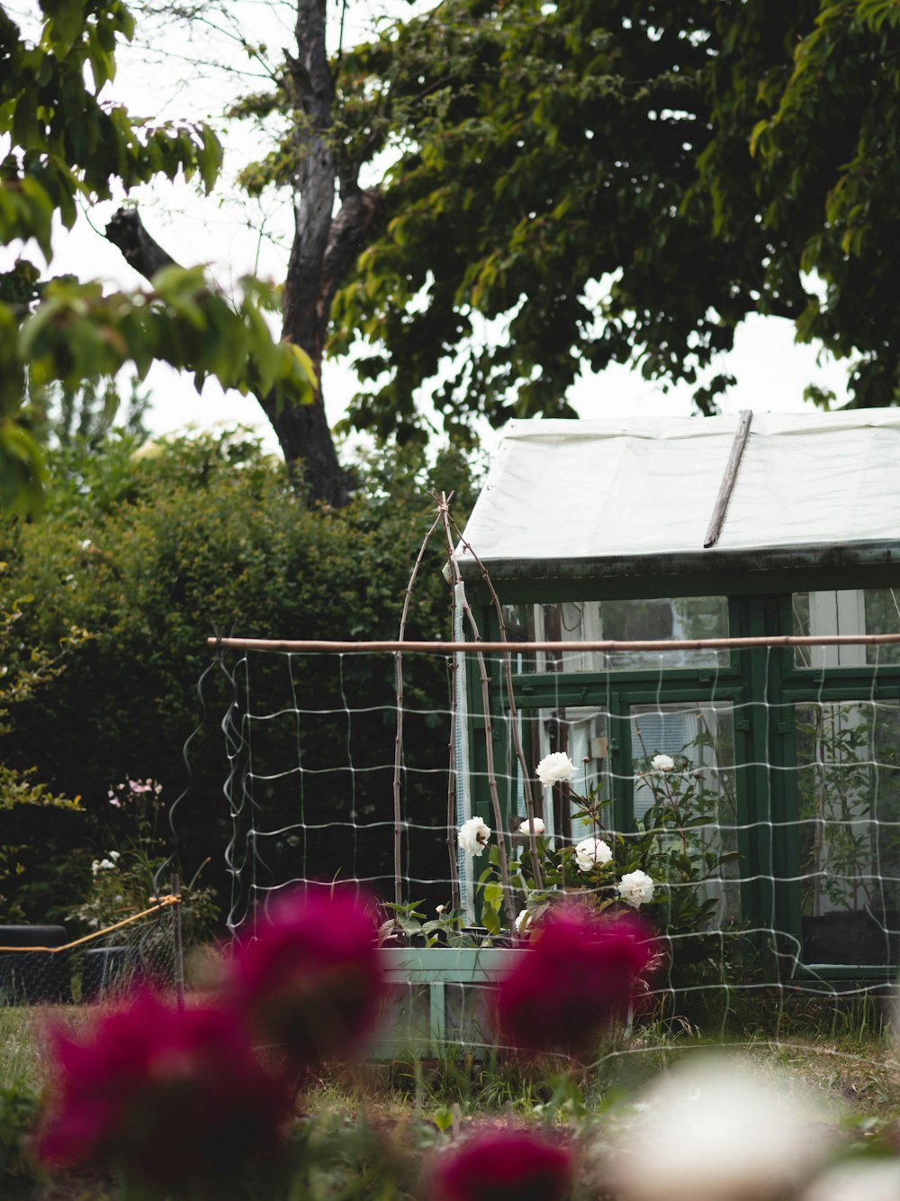 a small greenhouse with a wire fence and flowers in the foreground