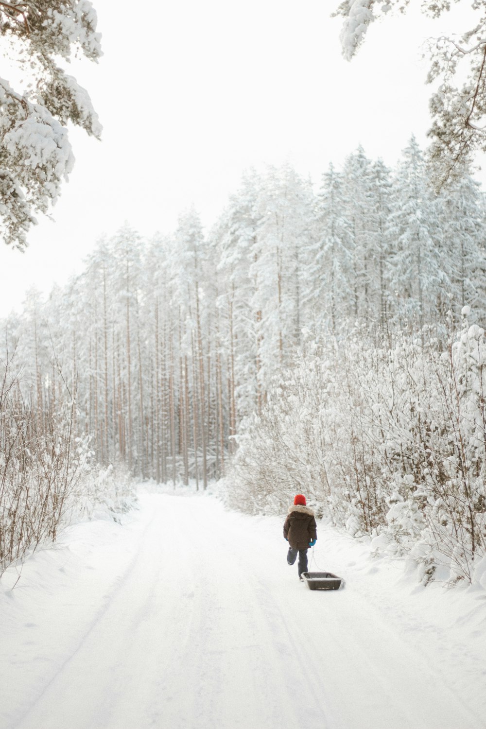 a person walking down a snow covered road with a snowboard