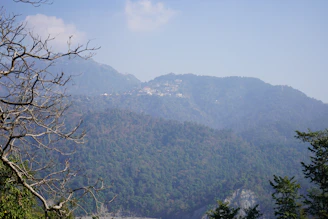Scenic view of cedar trees and mist-covered hills in the Middle Atlas.