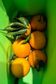 Several fresh oranges with green leaves are placed inside a bright green container, casting shadows on the surface.