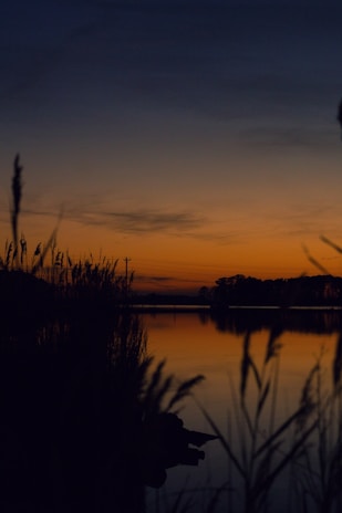 A serene sunset over the fishing spot, casting warm colors on the water and reeds.