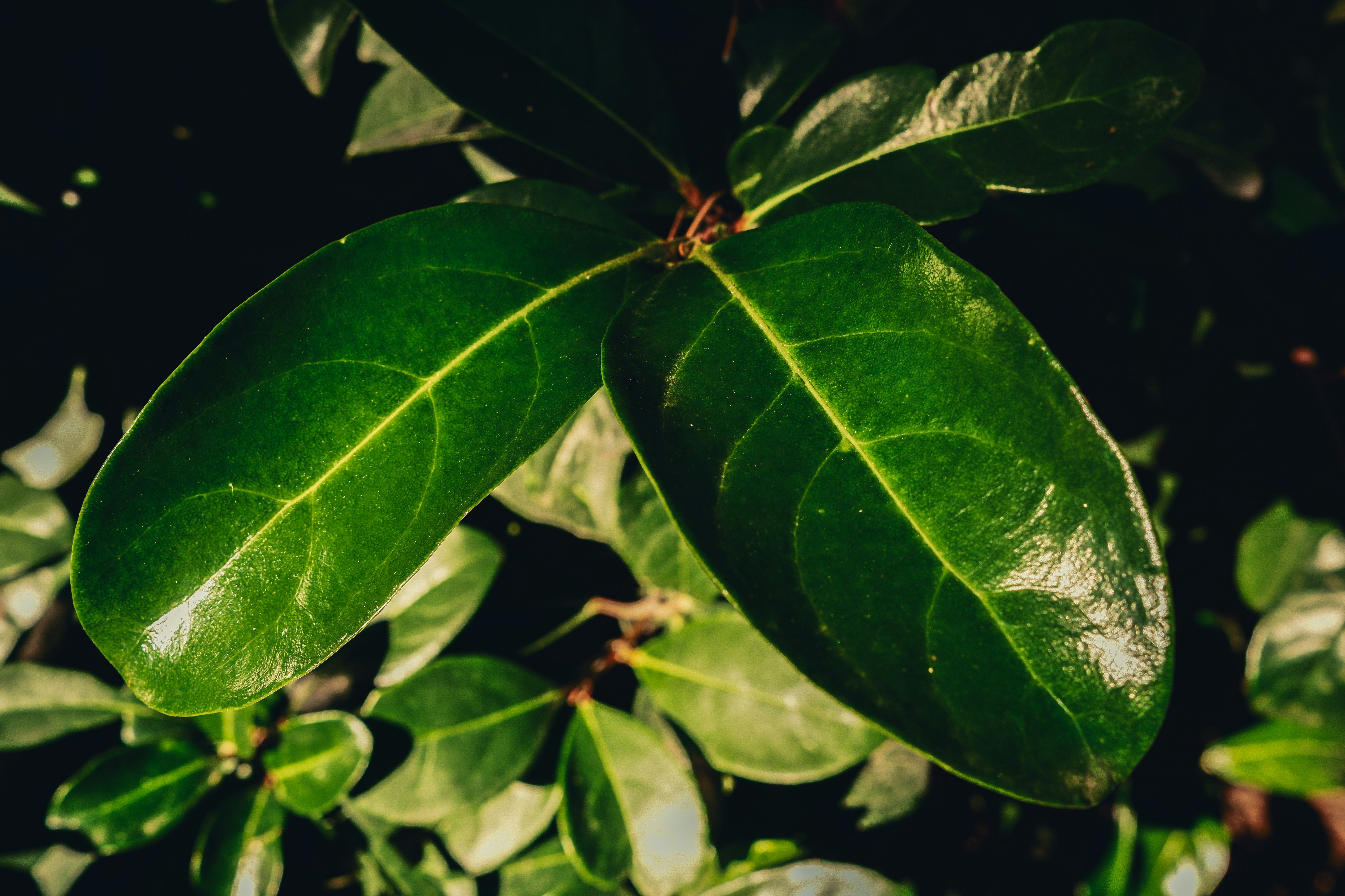 Photo by dimatarnovski