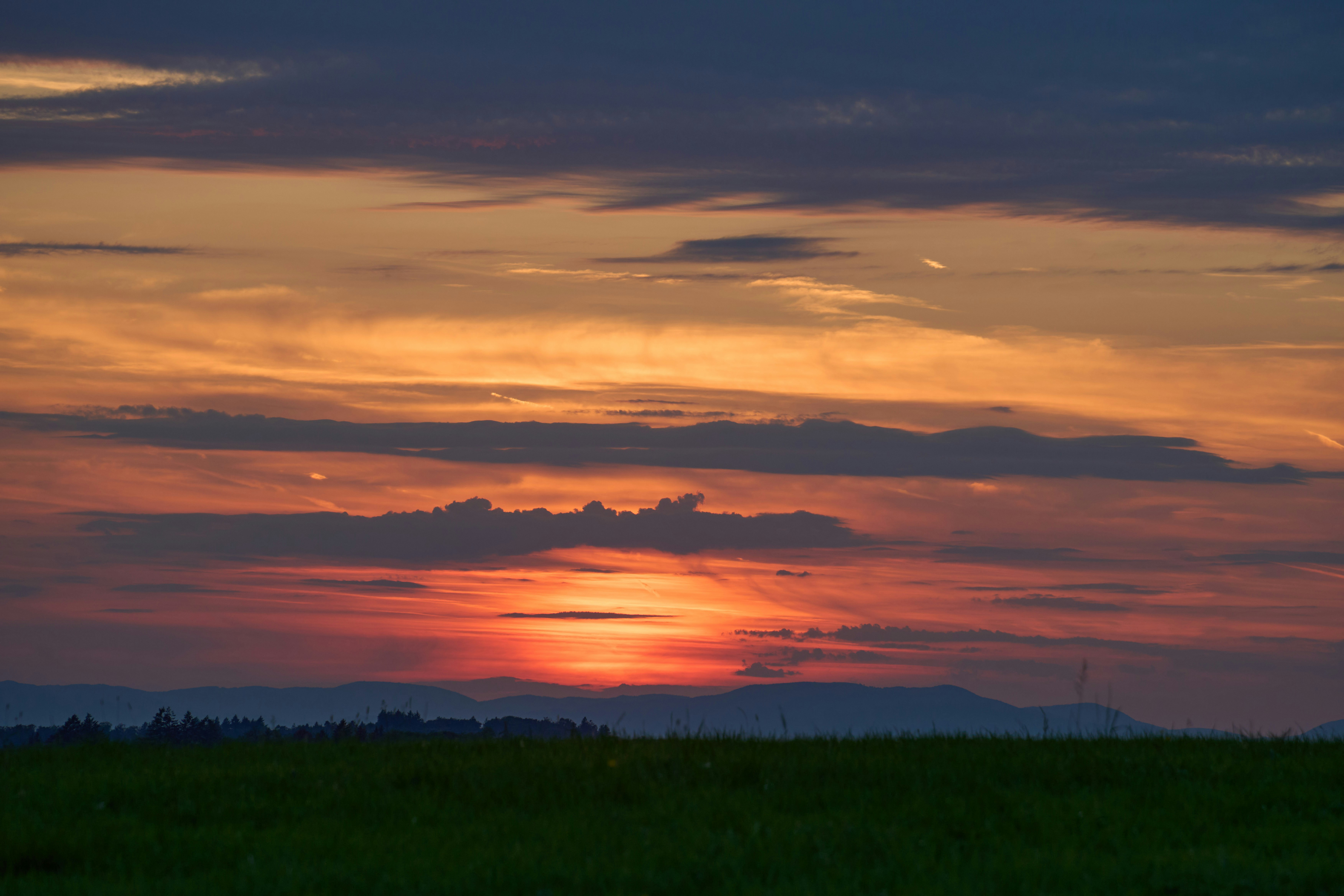 Photo by wolfgang_hasselmann